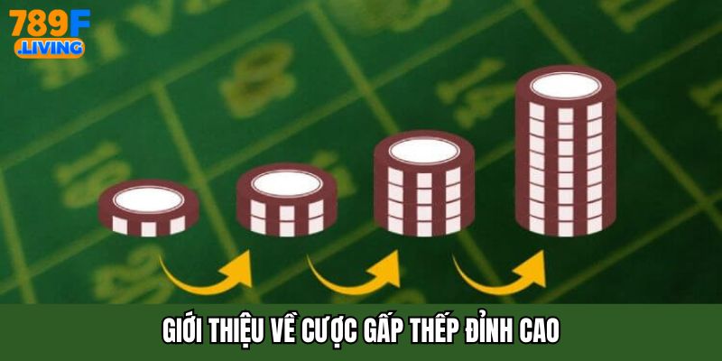 Cược Gấp Thếp - Cách Chơi Giúp Tăng Lợi Nhuận Nhanh Chóng