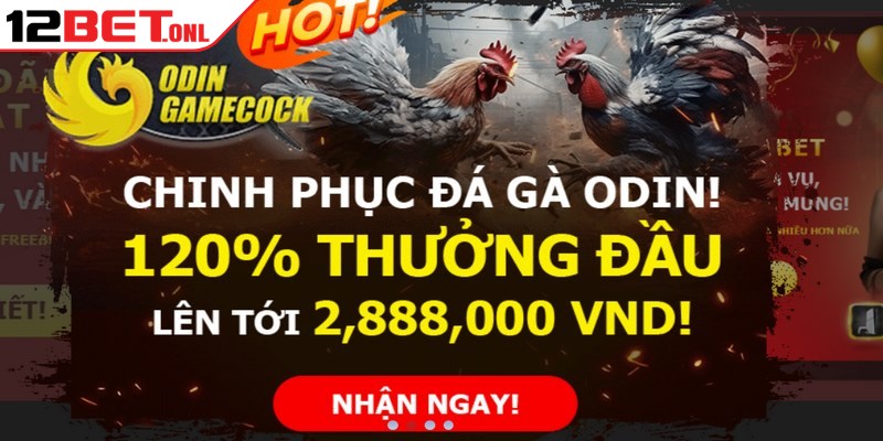 Đăng Ký 12BET - Khởi Đầu Cuộc Phiêu Lưu Giải Trí Bất Tận Đăng Ký 12BET - Khởi Đầu Cuộc Phiêu Lưu Giải Trí Bất Tận