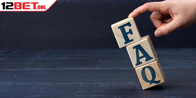 Chơi Phỏm Online Hấp Dẫn Với Chiến Thuật Thông Minh Chơi Phỏm Online Hấp Dẫn Với Chiến Thuật Thông Minh