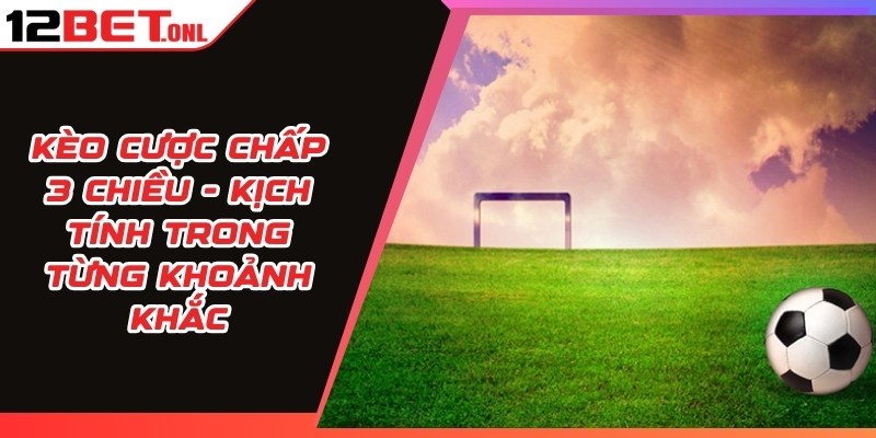 Kèo Lựa Là Gì? Hướng Dẫn Chơi Và Tính Tỷ Lệ Ăn Cược Kèo Lựa Là Gì? Hướng Dẫn Chơi Và Tính Tỷ Lệ Ăn Cược