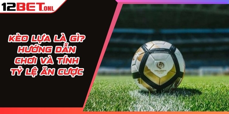 Kèo Running - Kinh Nghiệm Cược Chuẩn Cho Người Mới Kèo Running - Kinh Nghiệm Cược Chuẩn Cho Người Mới