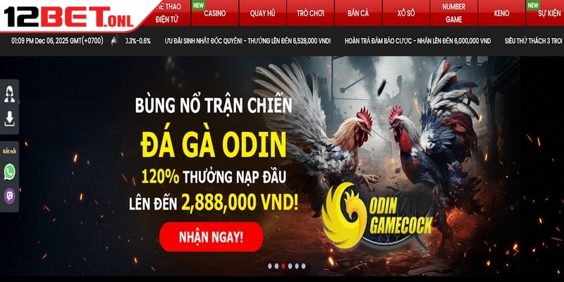 Về Chúng Tôi 12BET - Địa Chỉ Giải Trí Danh Tiếng Nhất